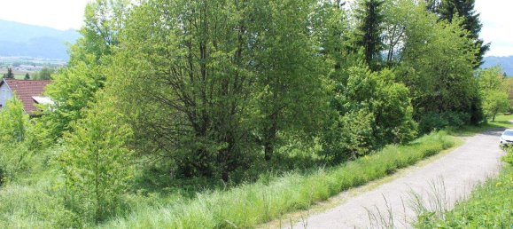 Terrain à Fohnsdorf, Austria No. 244661 9