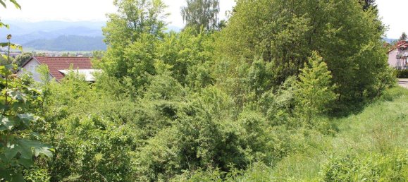 Terrain à Fohnsdorf, Austria No. 244661 3