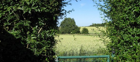 5 rooms House in Vorpommern-Rugen, Germany No. 224516 22