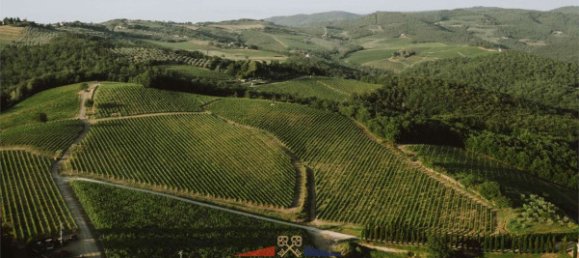 11 rooms Villa in Greve in Chianti, Italy No. 37819 10