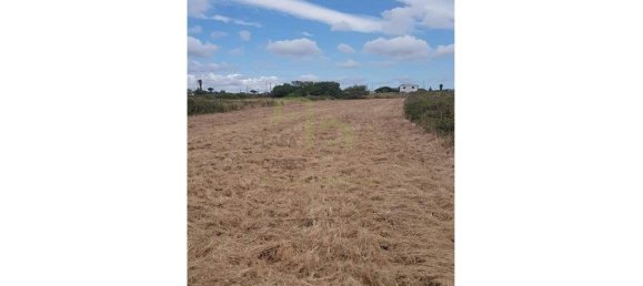 Grundstück in Sintra, Portugal 3800m², Nr. 90816 3