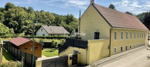 7 rooms Castles in Polla, Austria No. 186476 5