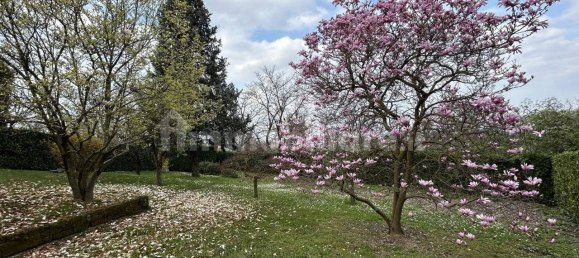 2 bedrooms Villa in Rovolon, Italy No. 60470 16