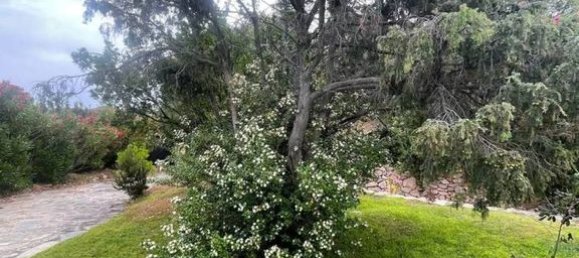 Villa de 9 dormitorios en Arzachena, Italy No. 273990 25