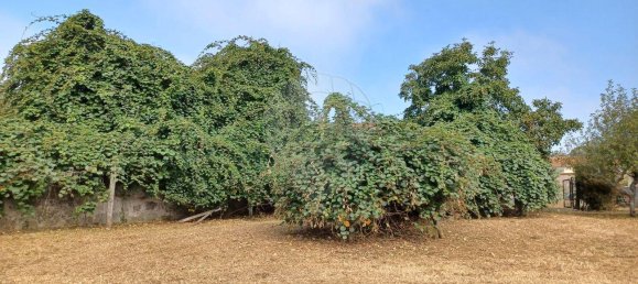 Дом с 4 спальнями в Канелаш, Португалия № 28152 9