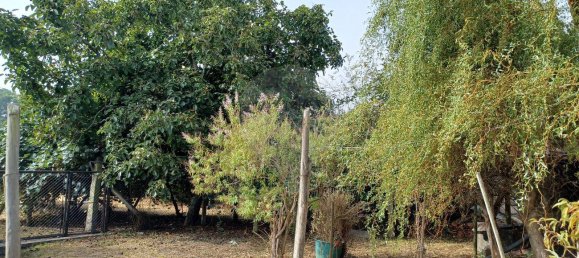 Дом с 4 спальнями в Канелаш, Португалия № 28152 6