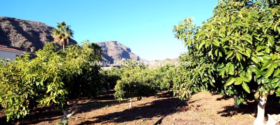 2 غرف نوم مزرعة في Puerto de Santiago, Spain رقم 745 6