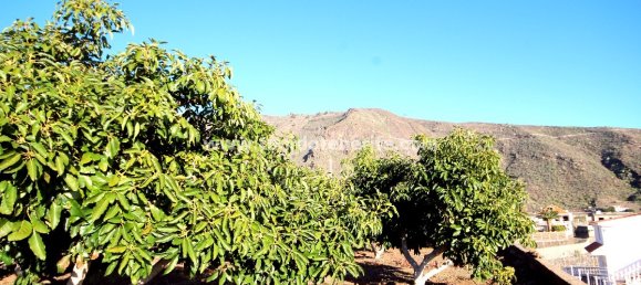 2 غرف نوم مزرعة في Puerto de Santiago, Spain رقم 745 7