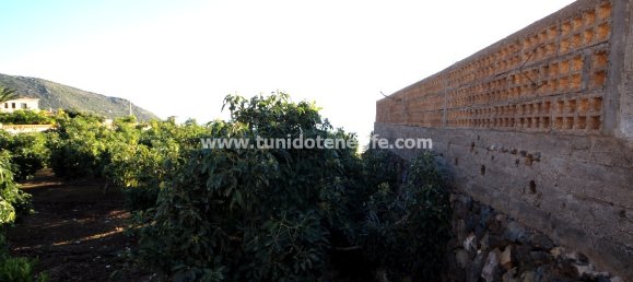 2 غرف نوم مزرعة في Puerto de Santiago, Spain رقم 745 4