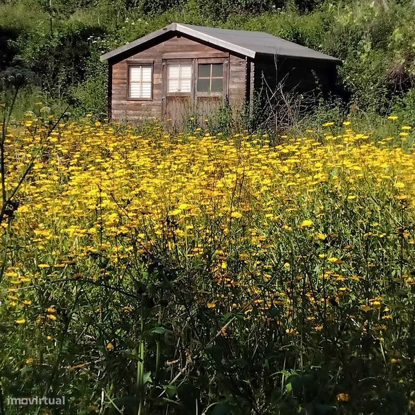 Земельный участок 7288м² в Тальядаш, Португалия № 335096