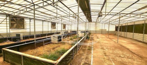 Terrain à Arafo, Spain 5116m² No. 169901 21