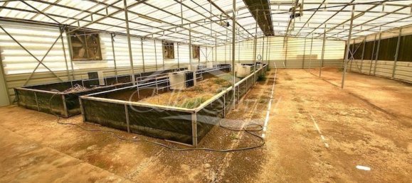 Terrain à Arafo, Spain 5116m² No. 169901 22