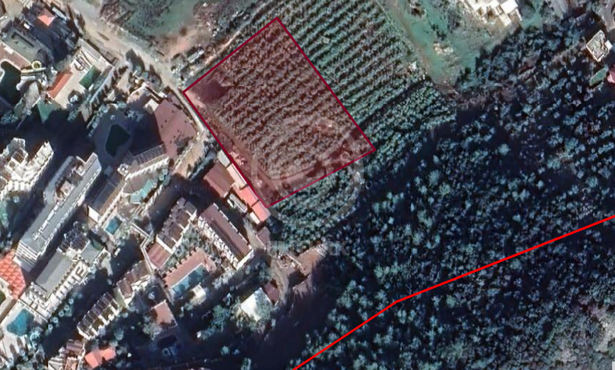 8415m² Land in Konakli, Turkey No. 30469