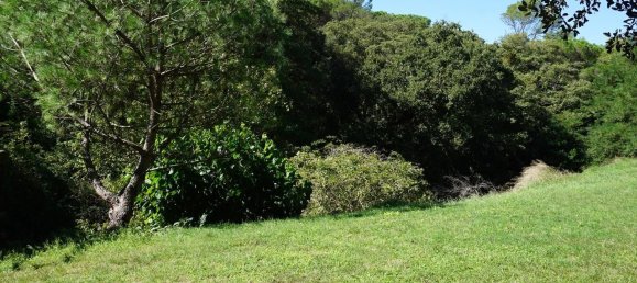 Casa de 2 dormitorios en Llinars del Vallès, Spain No. 156603 45