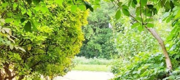 Casa de 2 dormitorios en Llinars del Vallès, Spain No. 156603 21