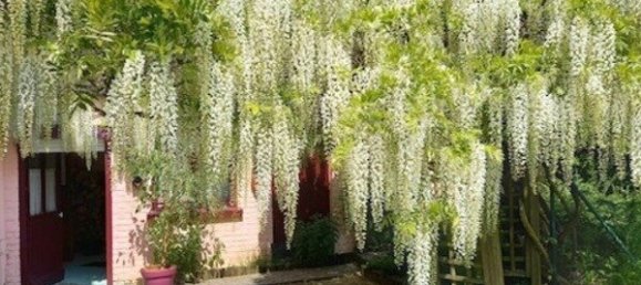 Casa de 5 dormitorios en Fourmies, France No. 234971 22