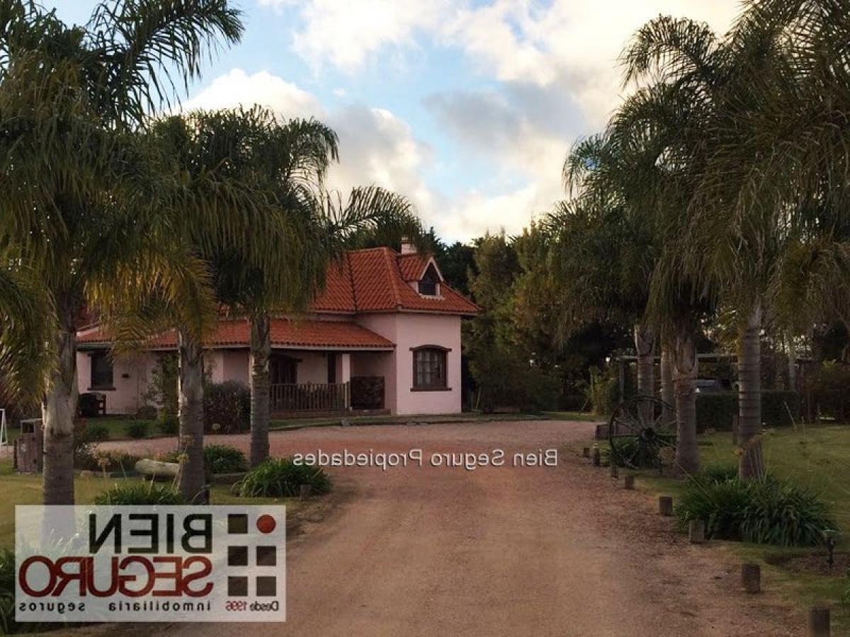 4 bedrooms House in Montevideo, Uruguay No. 9687