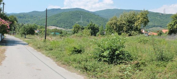 4600m² Hotel in Pieria, Greece No. 5524 3