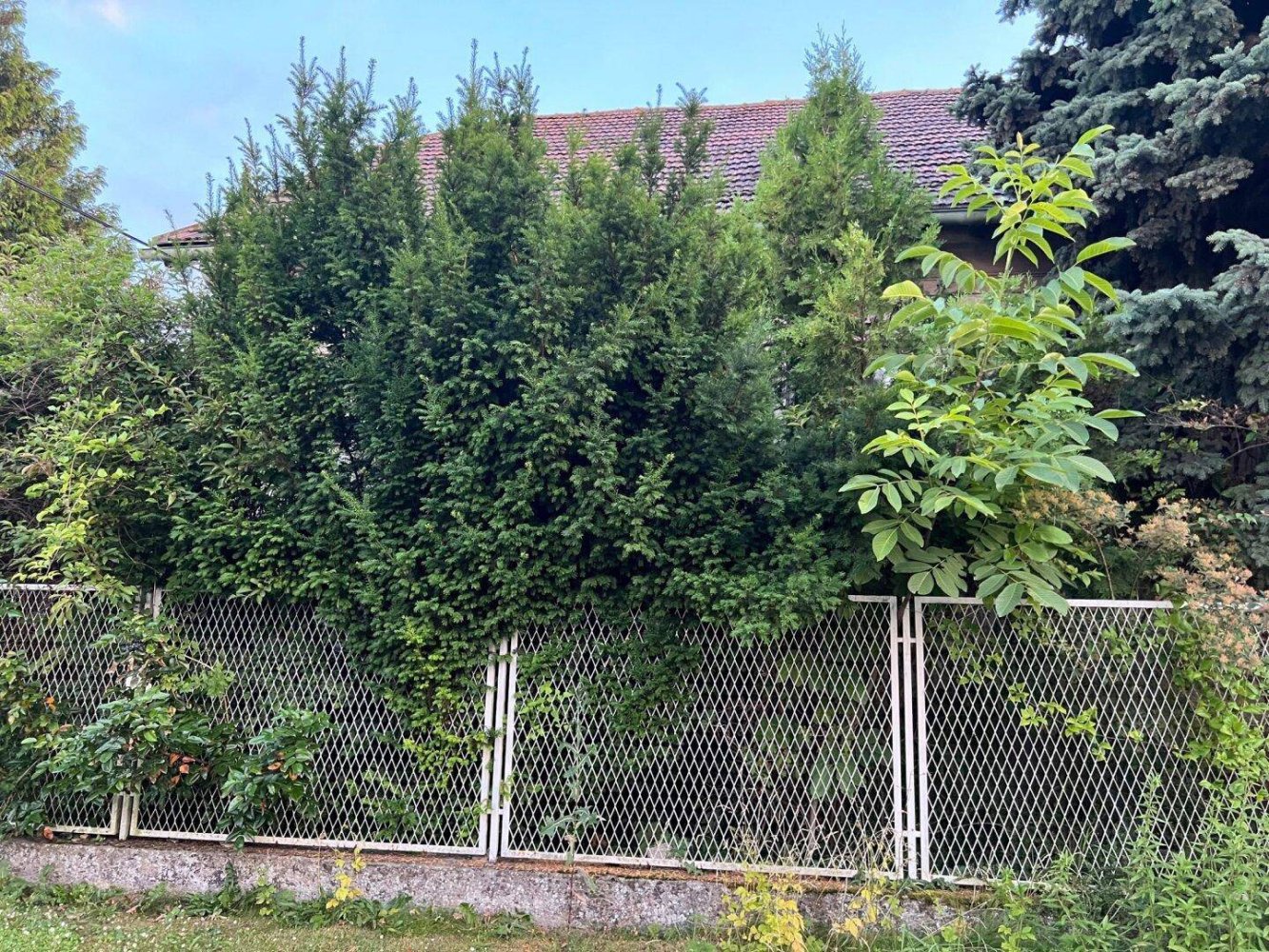 1182m² Land in Simmering, Austria No. 57796