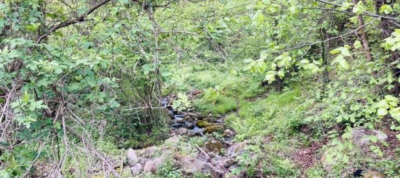  قطعة أرض في Casteil, France 65135متر مربع رقم 185844 6