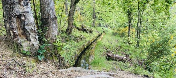  قطعة أرض في Casteil, France 65135متر مربع رقم 185844 4