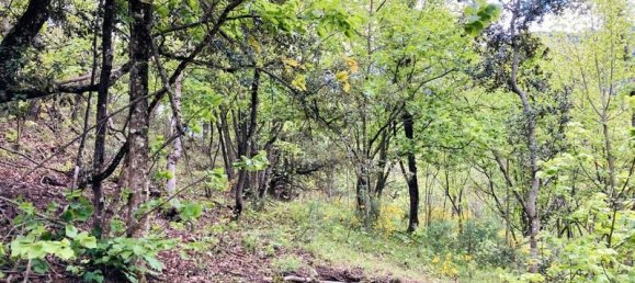  قطعة أرض في Casteil, France 65135متر مربع رقم 185844 9