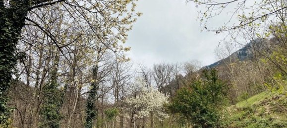  قطعة أرض في Casteil, France 65135متر مربع رقم 185844 2