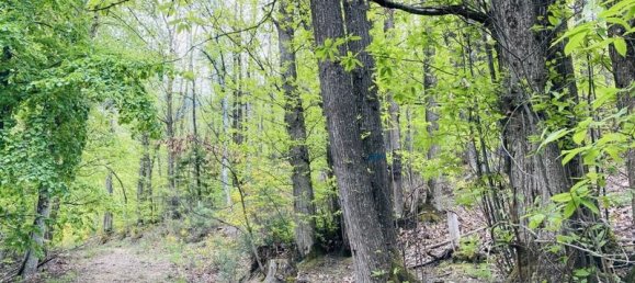  قطعة أرض في Casteil, France 65135متر مربع رقم 185844 3