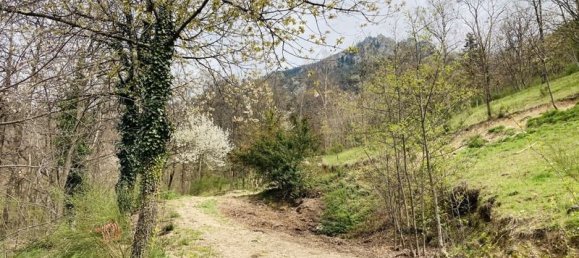  قطعة أرض في Casteil, France 65135متر مربع رقم 185844 8