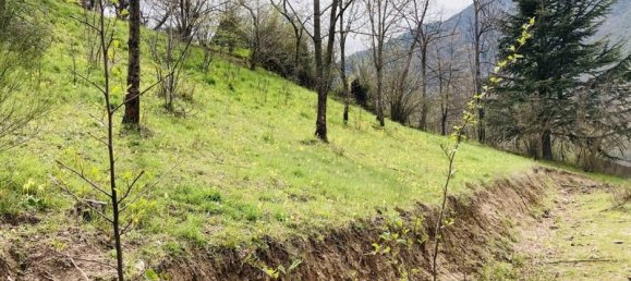  قطعة أرض في Casteil, France 65135متر مربع رقم 185844 5