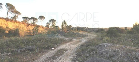  قطعة أرض في Coimbra, Portugal 4950متر مربع رقم 73985 3