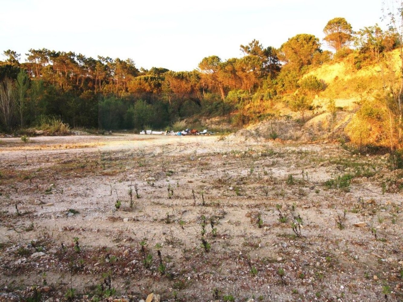  قطعة أرض في Coimbra, Portugal 4950متر مربع رقم 73985