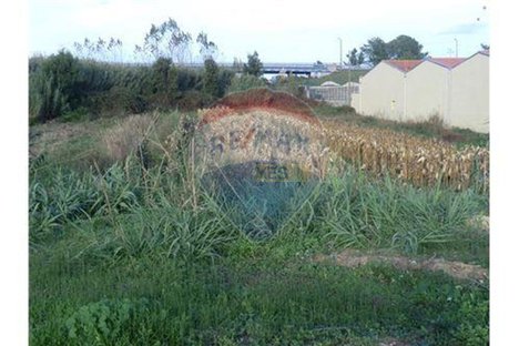 9037m² Land in Nazare, Portugal No. 68611