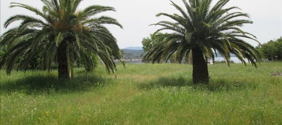 Коммерческая недвижимость с 6 спальнями в Халкидики, Греция № 7240 16