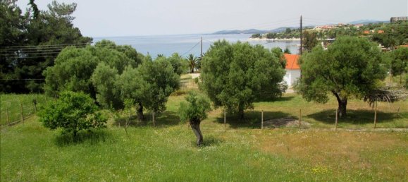 Коммерческая недвижимость с 6 спальнями в Халкидики, Греция № 7240 30