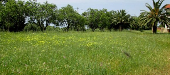Коммерческая недвижимость с 6 спальнями в Халкидики, Греция № 7240 6