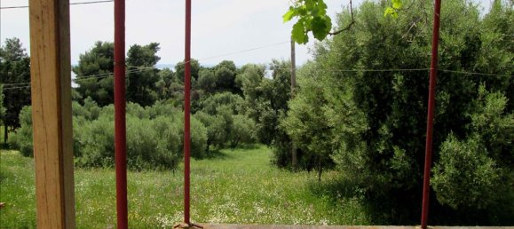 Коммерческая недвижимость с 6 спальнями в Халкидики, Греция № 7240 17