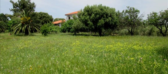 Коммерческая недвижимость с 6 спальнями в Халкидики, Греция № 7240 7