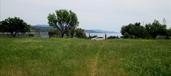 Коммерческая недвижимость с 6 спальнями в Халкидики, Греция № 7240 9