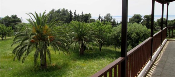 Коммерческая недвижимость с 6 спальнями в Халкидики, Греция № 7240 23