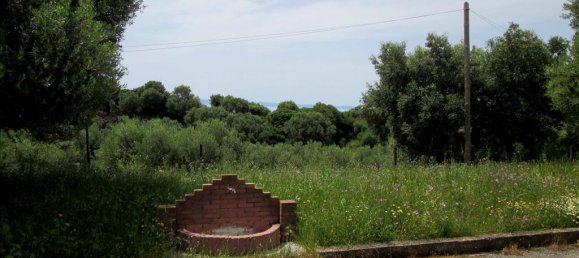 Коммерческая недвижимость с 6 спальнями в Халкидики, Греция № 7240 10