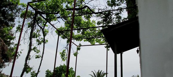 Коммерческая недвижимость с 6 спальнями в Халкидики, Греция № 7240 11