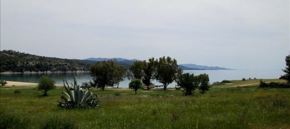 Коммерческая недвижимость с 6 спальнями в Халкидики, Греция № 7240 8