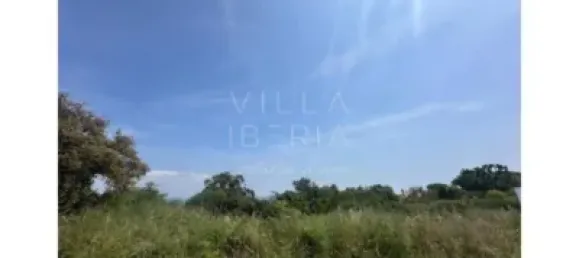 1660m² Land in Castell-Platja d'Aro, Spain No. 187332 5