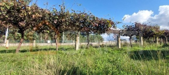 Grundstück in Moncao, Portugal 1420m², Nr. 60365 3