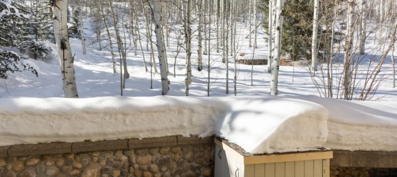 4 bedrooms Commercial property in Beaver Creek, USA No. 560250 22