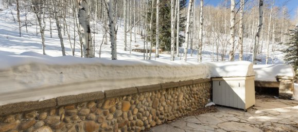 4 bedrooms Commercial property in Beaver Creek, USA No. 560250 21