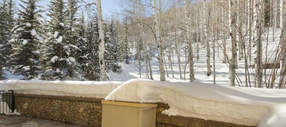 4 bedrooms Commercial property in Beaver Creek, USA No. 560250 23