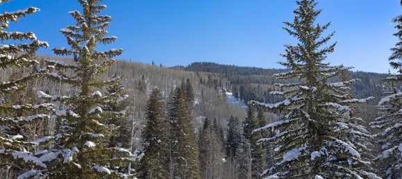 4 bedrooms Commercial property in Beaver Creek, USA No. 560250 16