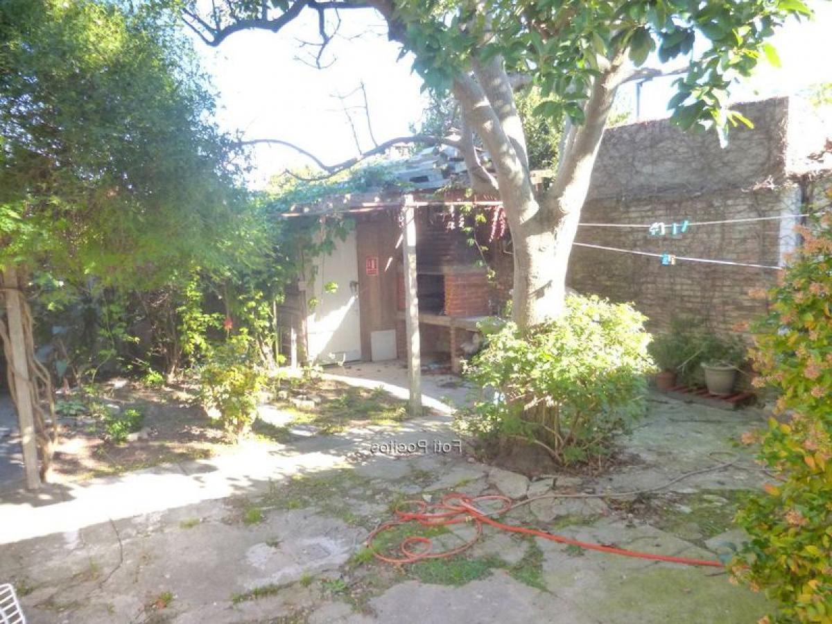 5 bedrooms House in Montevideo, Uruguay No. 2787